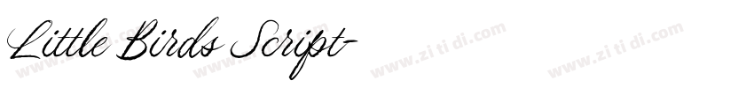 Little Birds Script字体转换